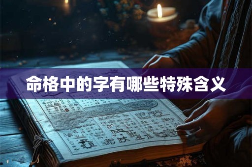 命格中的字有哪些特殊含义