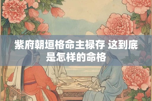 紫府朝垣格命主禄存 这到底是怎样的命格