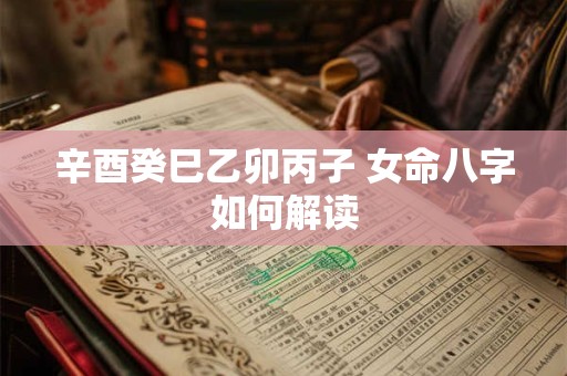 辛酉癸巳乙卯丙子 女命八字如何解读