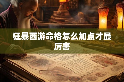 狂暴西游命格怎么加点才最厉害