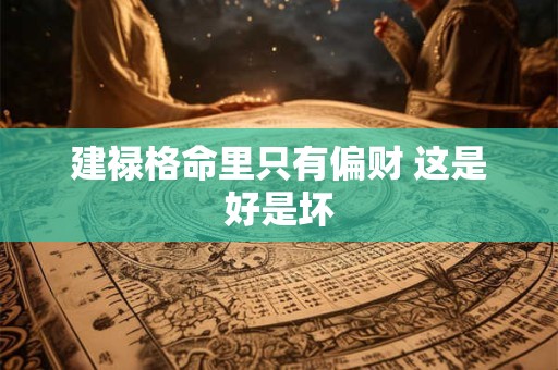 建禄格命里只有偏财 这是好是坏