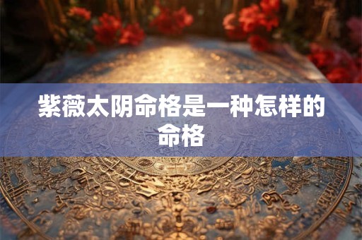 紫薇太阴命格是一种怎样的命格