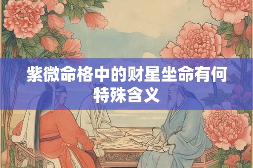 紫微命格中的财星坐命有何特殊含义