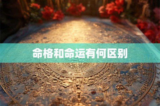 命格和命运有何区别