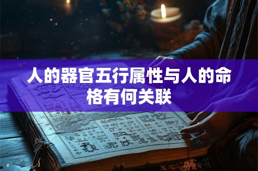 人的器官五行属性与人的命格有何关联