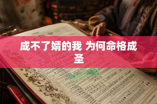 成不了婿的我 为何命格成圣 成不了婿的我 为何命格成圣