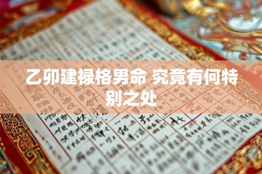 乙卯建禄格男命 究竟有何特别之处