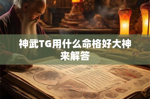 神武TG用什么命格好大神来解答