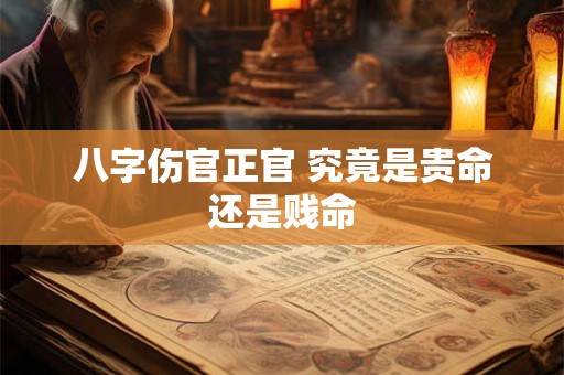 八字伤官正官 究竟是贵命还是贱命 八字伤官正官 究竟是贵命还是贱命