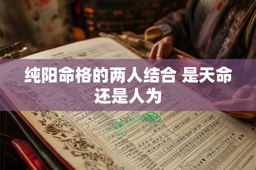 纯阳命格的两人结合 是天命还是人为