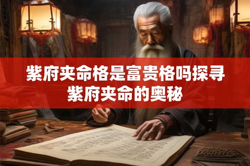 紫府夹命格是富贵格吗探寻紫府夹命的奥秘
