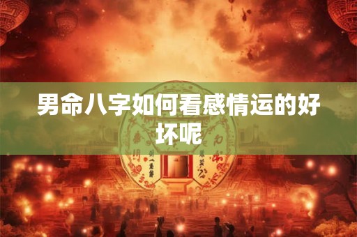 男命八字如何看感情运的好坏呢