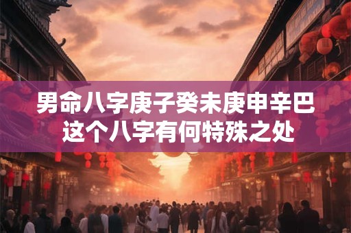 男命八字庚子癸未庚申辛巴 这个八字有何特殊之处