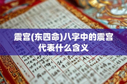 震宫(东四命)八字中的震宫代表什么含义