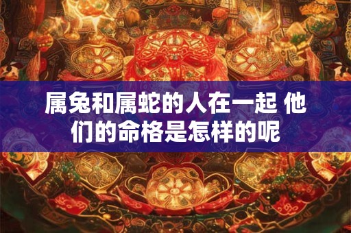 属兔和属蛇的人在一起 他们的命格是怎样的呢