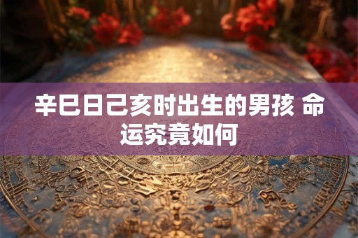 辛巳日己亥时出生的男孩 命运究竟如何