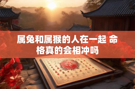 属兔和属猴的人在一起 命格真的会相冲吗