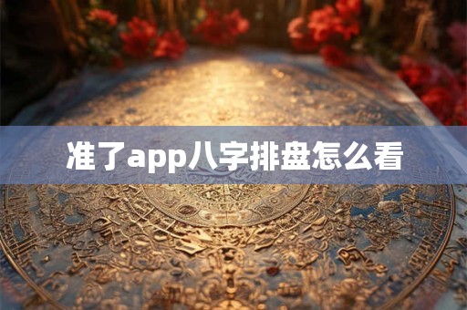 准了app八字排盘怎么看