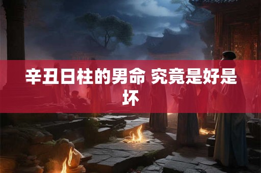 辛丑日柱的男命 究竟是好是坏