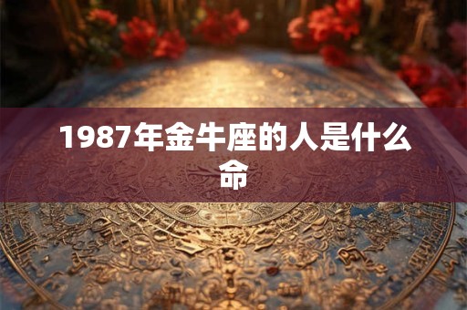 1987年金牛座的人是什么命