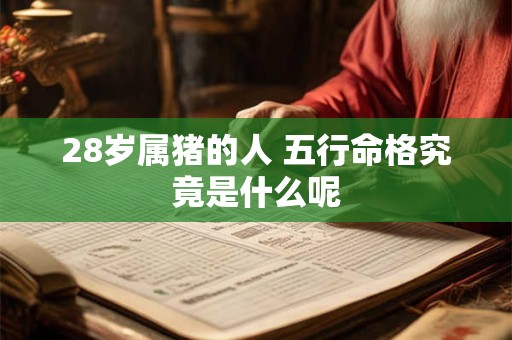 28岁属猪的人 五行命格究竟是什么呢
