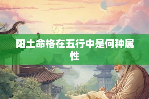 阳土命格在五行中是何种属性