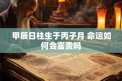 甲辰日柱生于丙子月 命运如何会富贵吗