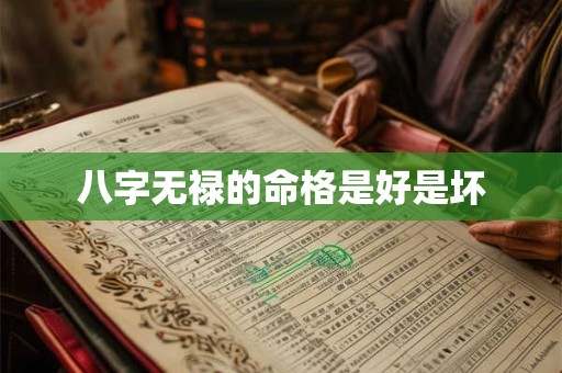 八字无禄的命格是好是坏