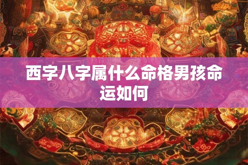 西字八字属什么命格男孩命运如何