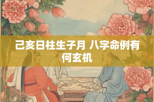 己亥日柱生子月 八字命例有何玄机