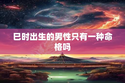 巳时出生的男性只有一种命格吗