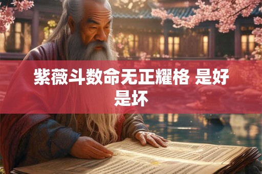 紫薇斗数命无正耀格 是好是坏