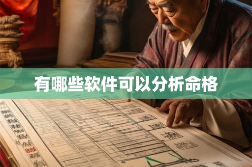 有哪些软件可以分析命格