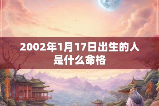 2002年1月17日出生的人是什么命格