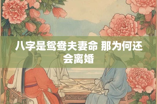 八字是鸳鸯夫妻命 那为何还会离婚