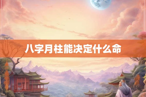 八字月柱能决定什么命