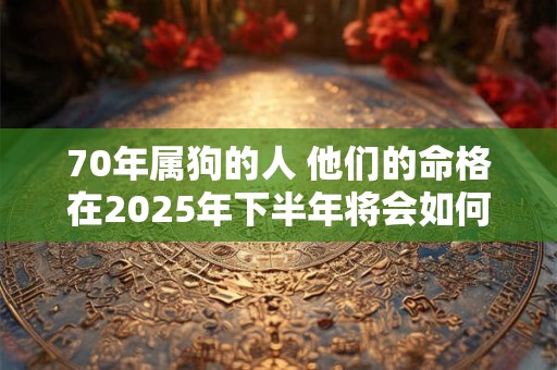 70年属狗的人 他们的命格在2025年下半年将会如何