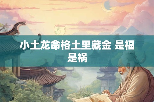 小土龙命格土里藏金 是福是祸