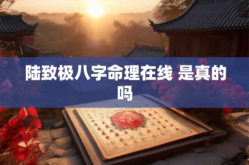 陆致极八字命理在线 是真的吗
