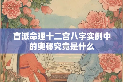 盲派命理十二宫八字实例中的奥秘究竟是什么 盲派命理十二宫八字实例中的奥秘究竟是什么