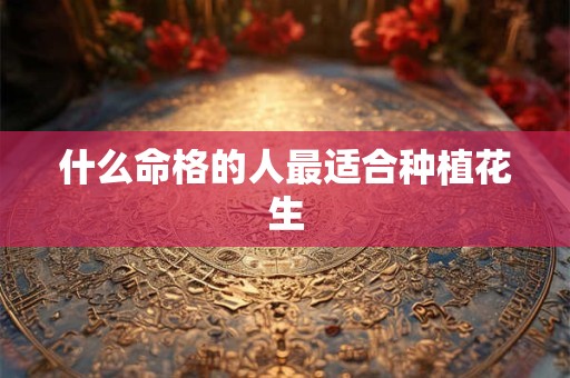 什么命格的人最适合种植花生