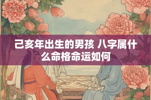 己亥年出生的男孩 八字属什么命格命运如何