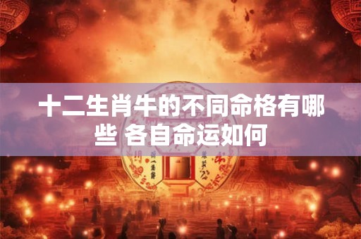 十二生肖牛的不同命格有哪些 各自命运如何 十二生肖牛的不同命格有哪些 各自命运如何