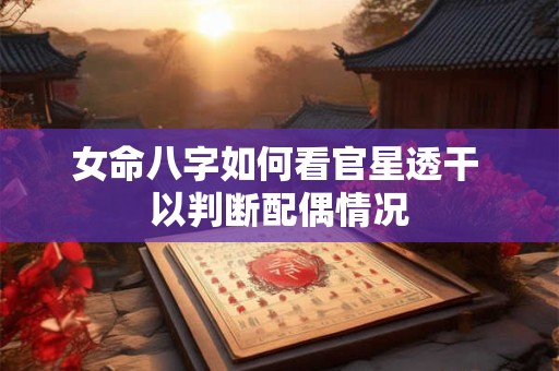 女命八字如何看官星透干 以判断配偶情况
