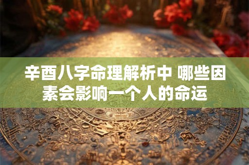 辛酉八字命理解析中 哪些因素会影响一个人的命运