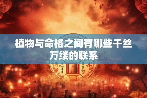 植物与命格之间有哪些千丝万缕的联系