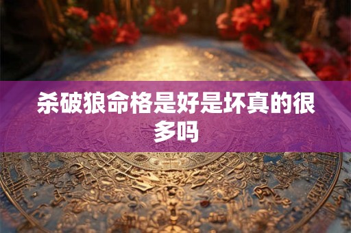 杀破狼命格是好是坏真的很多吗