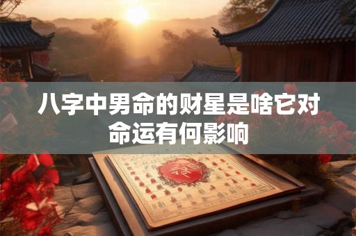 八字中男命的财星是啥它对命运有何影响
