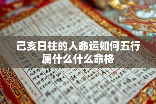 己亥日柱的人命运如何五行属什么什么命格