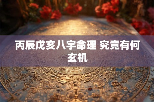 丙辰戊亥八字命理 究竟有何玄机